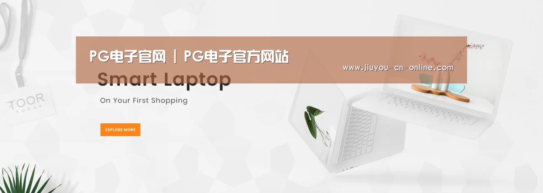 某某网络科技有限公司
