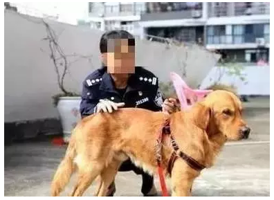扒一扒那些微整前必须知道的硬核医美常识‘pg棋牌游戏平台’(图3) pg棋牌APP下载
