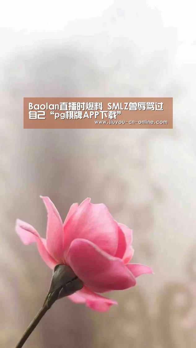 Baolan直播时爆料 SMLZ曾辱骂过自己“pg棋牌APP下载”(图2) pg棋牌APP下载